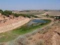 DSC05646