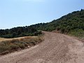 DSC05648