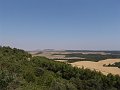 DSC05651