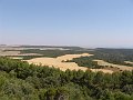 DSC05652