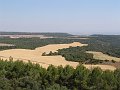 DSC05653