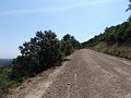 DSC05655