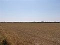 DSC05662