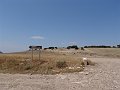 DSC05664
