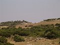 DSC05668