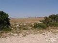 DSC05674