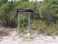 DSC05678