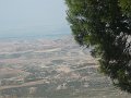 DSC05678b