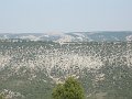 DSC05678c