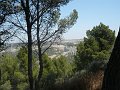 DSC05678d