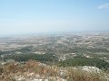 DSC05678l