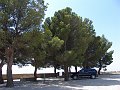 DSC05709