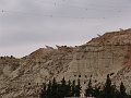 DSC05148