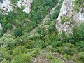 DSC02417