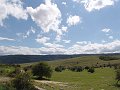 DSC03101