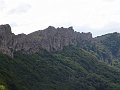 DSC03118