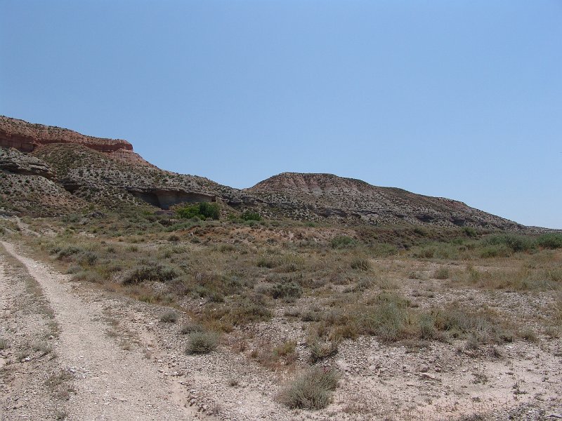DSC05724.JPG