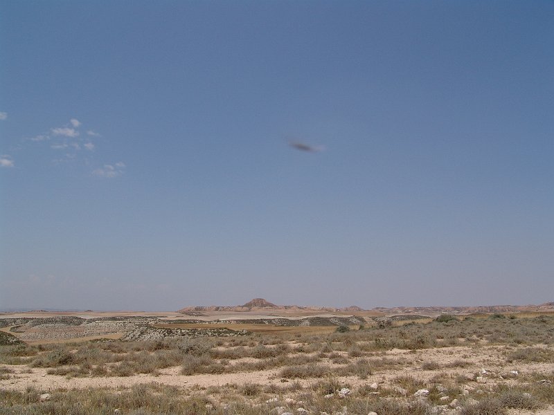 DSC05767.JPG