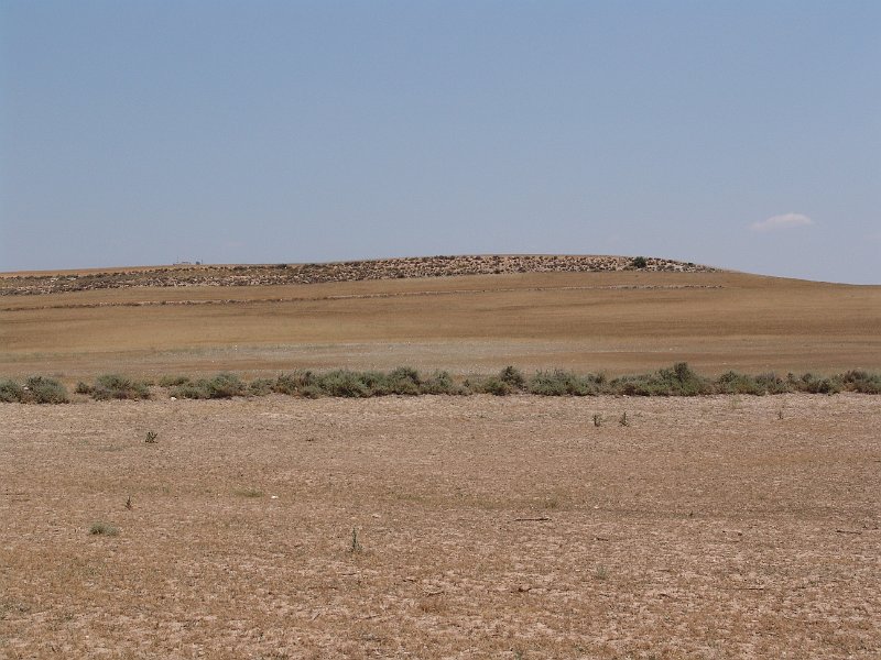 DSC05774.JPG