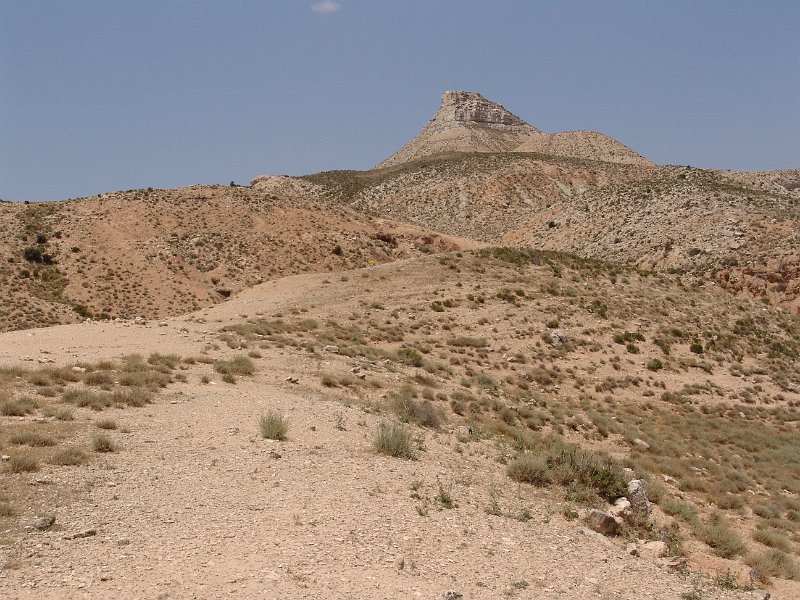 DSC05790.JPG