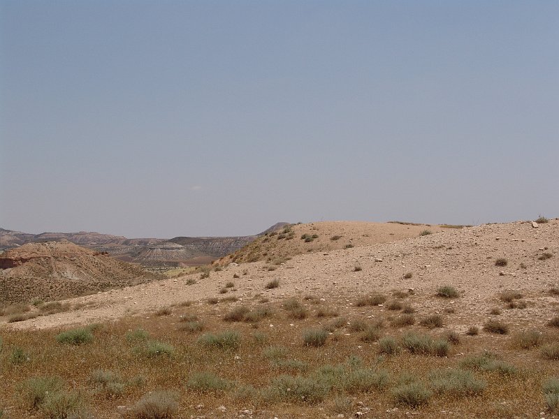 DSC05794.JPG