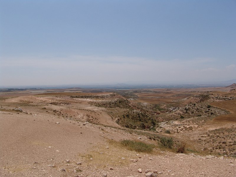 DSC05798.JPG