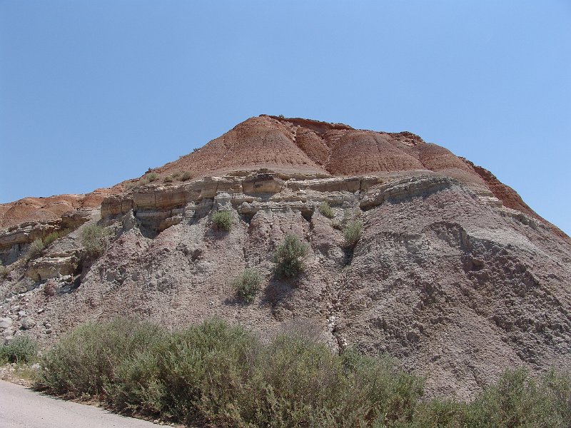 DSC05821.JPG