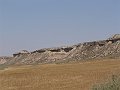 DSC05721