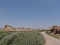 DSC05729