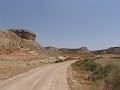 DSC05731