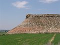 DSC05733
