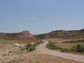 DSC05737