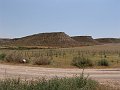 DSC05738
