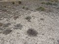 DSC05764