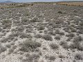 DSC05765