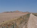 DSC05770