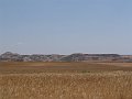 DSC05775