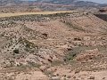 DSC05786