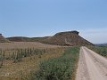 DSC05805