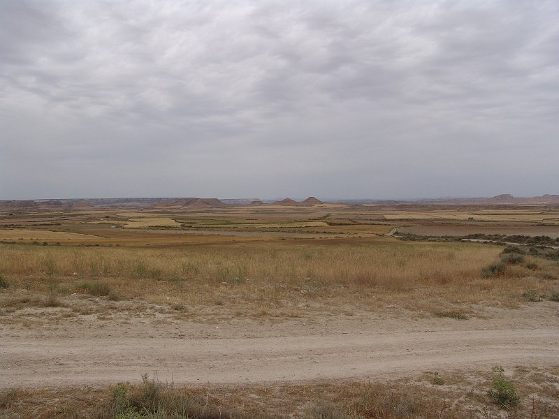 DSC04570.JPG
