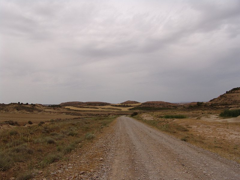 DSC04580.JPG
