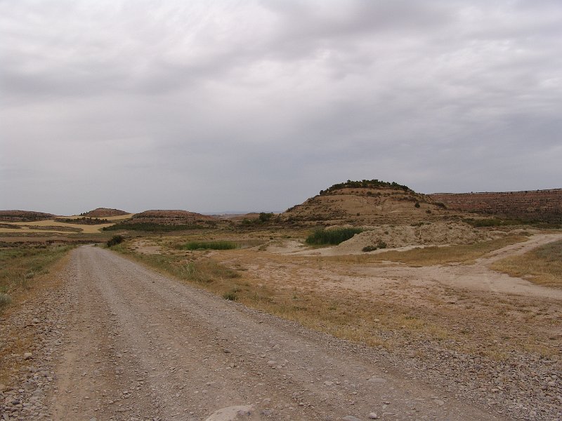 DSC04581.JPG