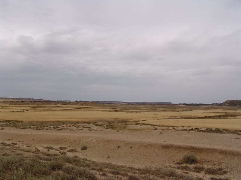 DSC04586.JPG