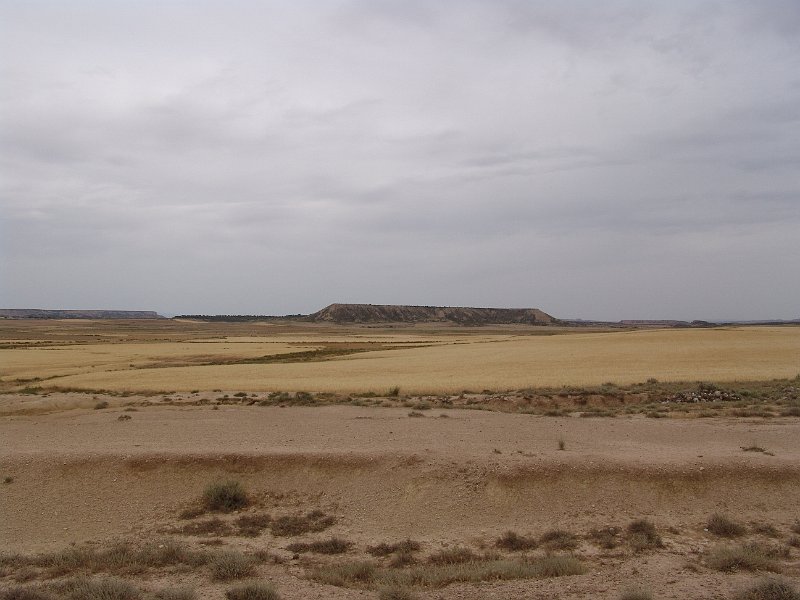 DSC04587.JPG