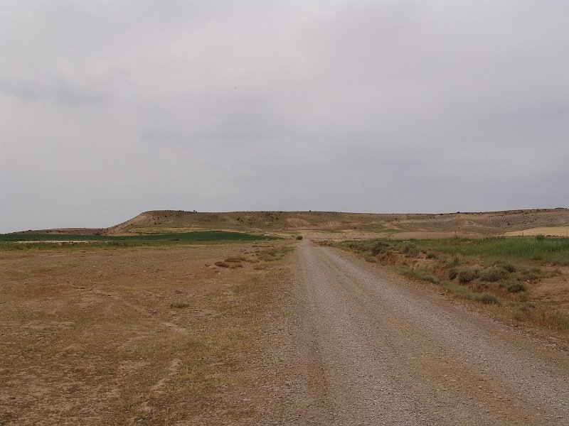 DSC04593.JPG