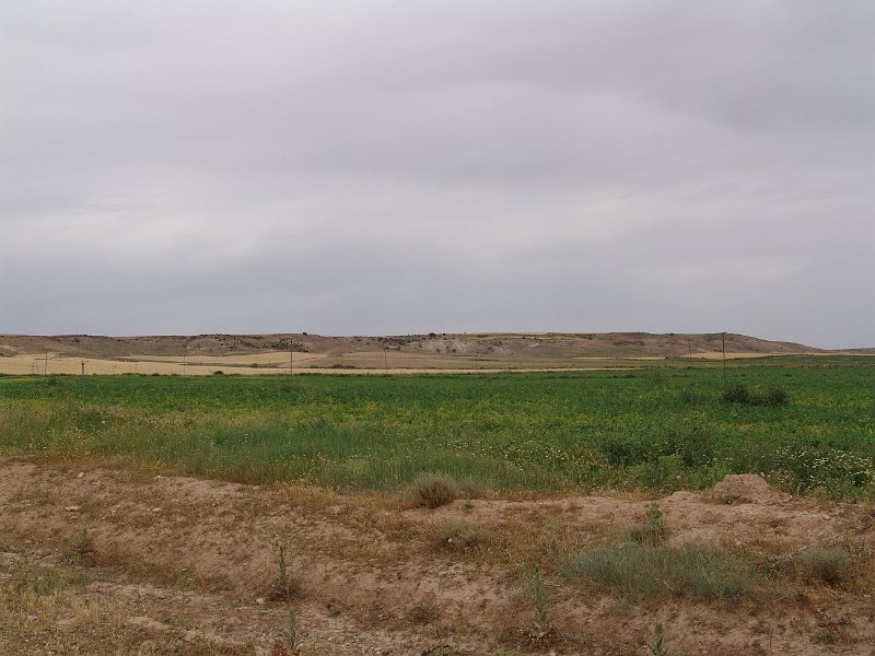 DSC04595.JPG
