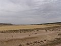 DSC04588
