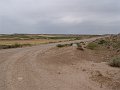 DSC04591