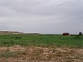 DSC04594
