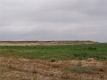DSC04595